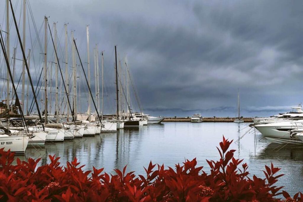 sailing charters Malta