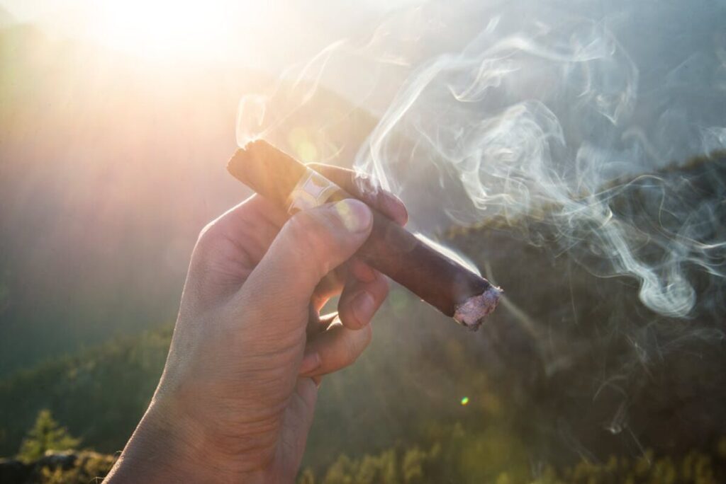 CAO Amazon Basin Cigar