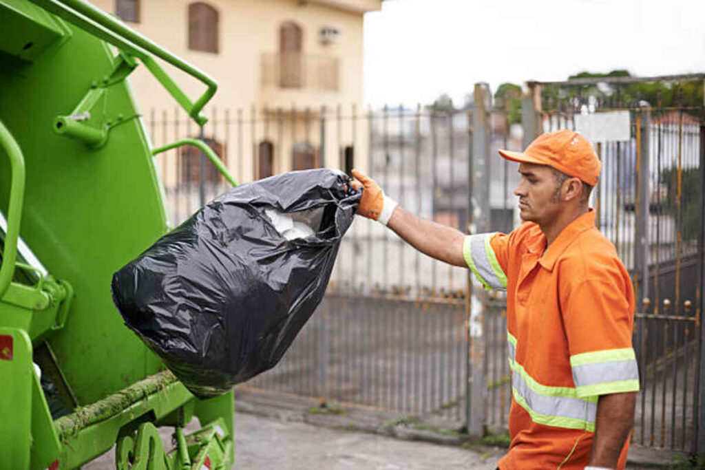 Bio-degradable Junk Removal in Woodland Grove